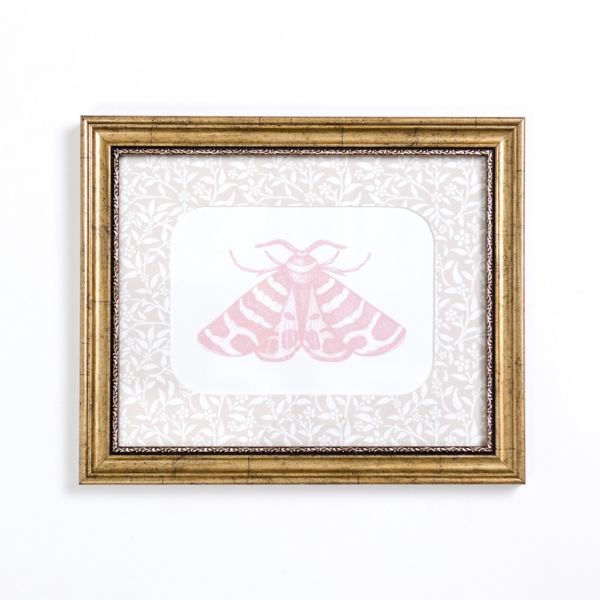 Pink Moth Botanical Framed Art Print | Kirklands Home