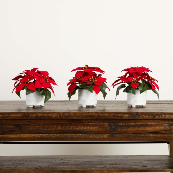 Poinsettia Arrangements in Ceramic Pots, Set of 3