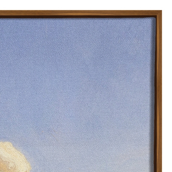 Country Hill Monarch Framed Canvas Art Print