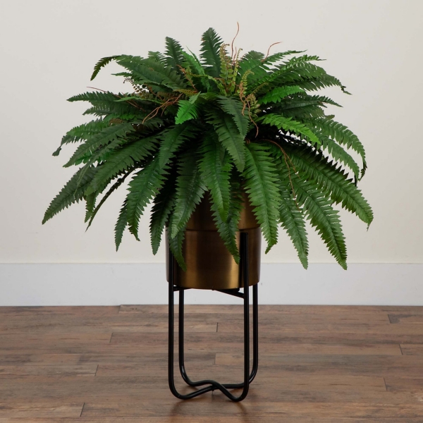 Fern in Gold Metal Planter