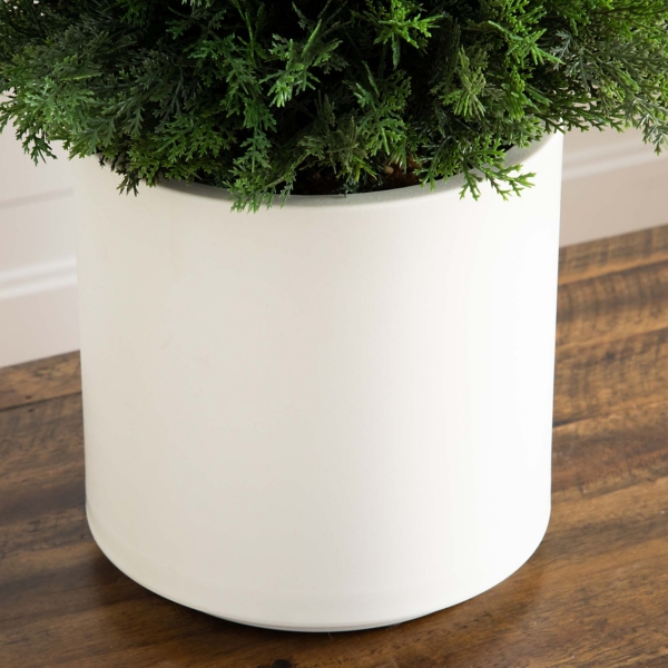 Cedar Tree in White Pot, 3 ft.