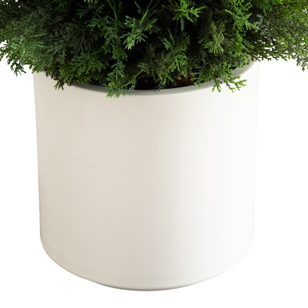 Cedar Tree in White Pot, 3 ft.