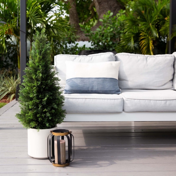 Cedar Tree in White Pot, 3 ft.