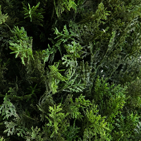 Cedar Tree in White Pot, 5 ft.