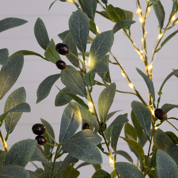 Pre-Lit Warm LED Olive Tree, 5 ft.