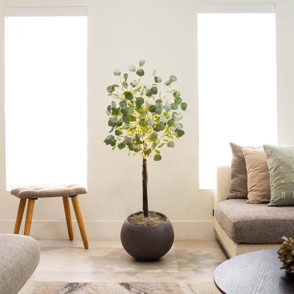 Pre-Lit Warm LED Eucalyptus Plant