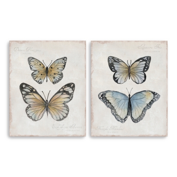 Vintage Butterflies Canvas Art Prints, Set of 2