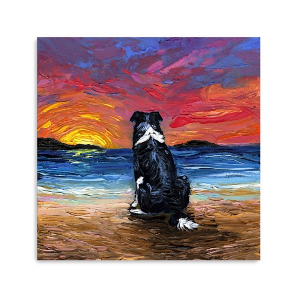 Border Collie Beach Days Canvas Art Print