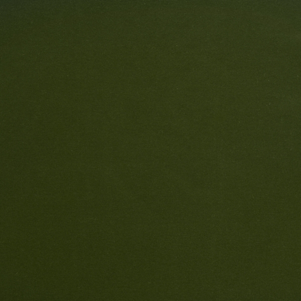 Olive Alpine Blackout Curtain Panel