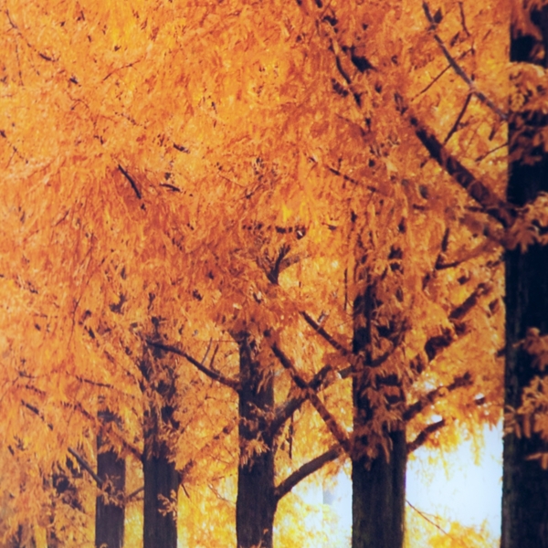 Perfect Trail Tempered Glass Art Print