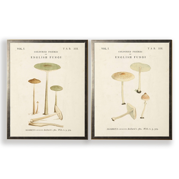 Vintage Mushrooms I Framed Art Prints, Set of 2