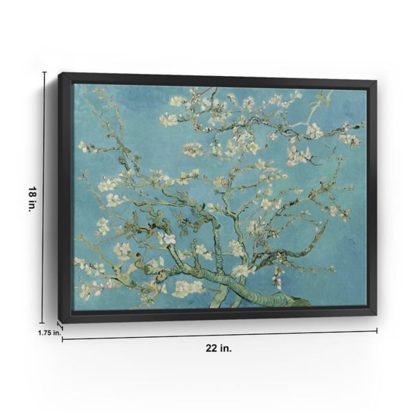 Almond Blossom Framed Canvas Art Print
