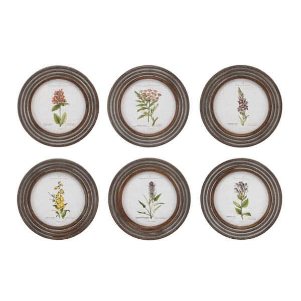 Round Vintage Floral Framed Art Prints, Set of 6