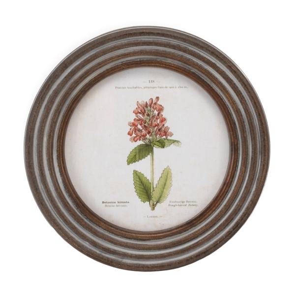 Round Vintage Floral Framed Art Prints, Set of 6