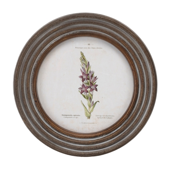 Round Vintage Floral Framed Art Prints, Set of 6