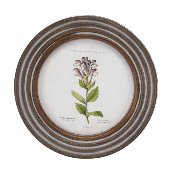 Round Vintage Floral Framed Art Prints, Set of 6