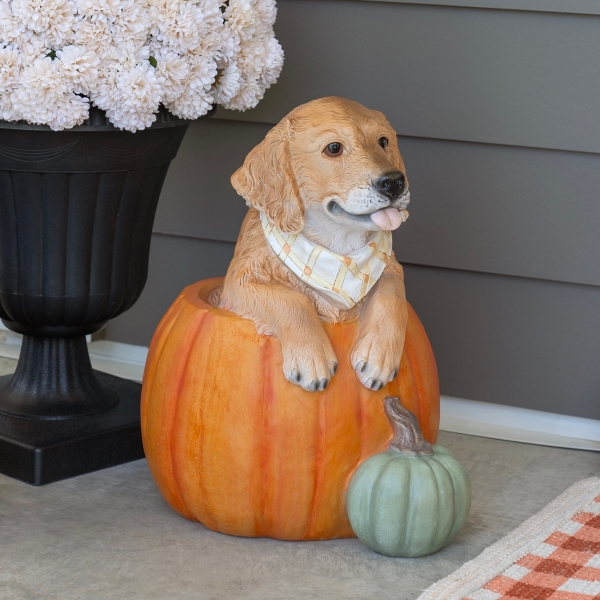 Golden Retriever in Pumpkin Outdoor Statue | Kirklands Home
