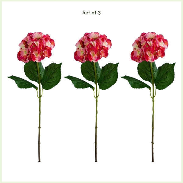 Hydrangea Flower Stems