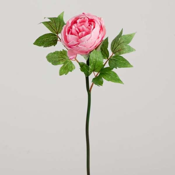 Pink Peony Flower Stems, Set of 3