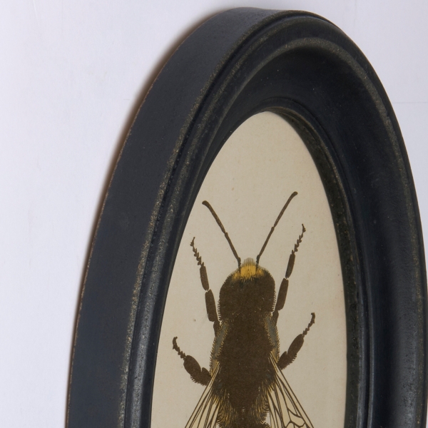 Oval Rustic Bee Framed Art Print