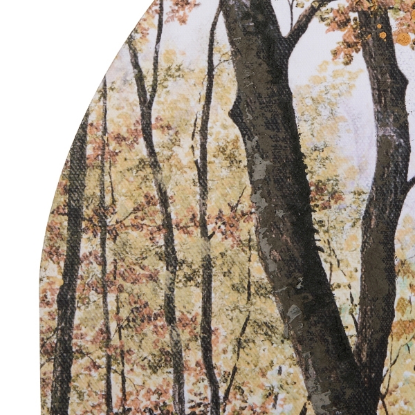 Fall Forest Arched Canvas Art Print