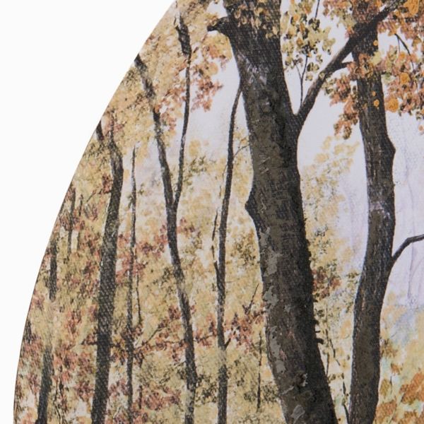 Fall Forest Arched Canvas Art Print