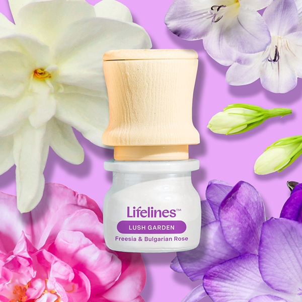 Lifelines Be Transported Essential Oil 5-pc. Set