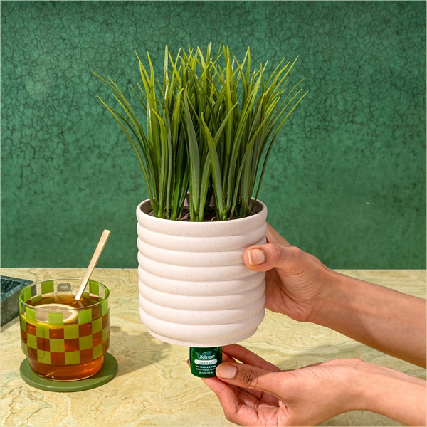 Lifelines Faux Grass Plant Bubble White Diffuser