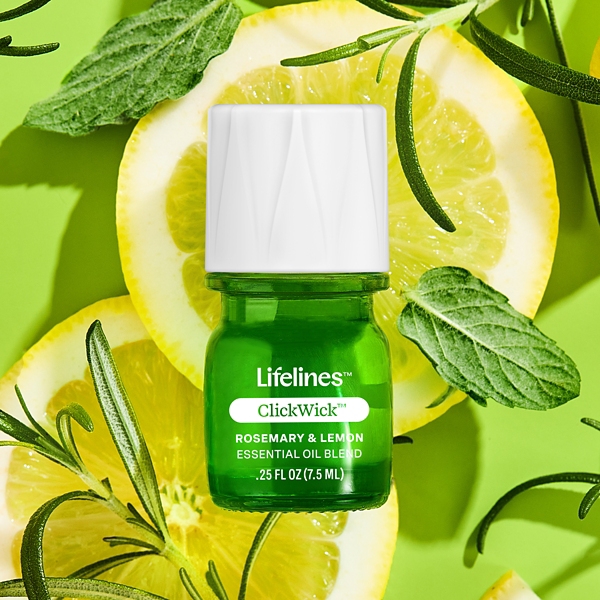 Lifelines Faux Succulent Two Tone Diffuser