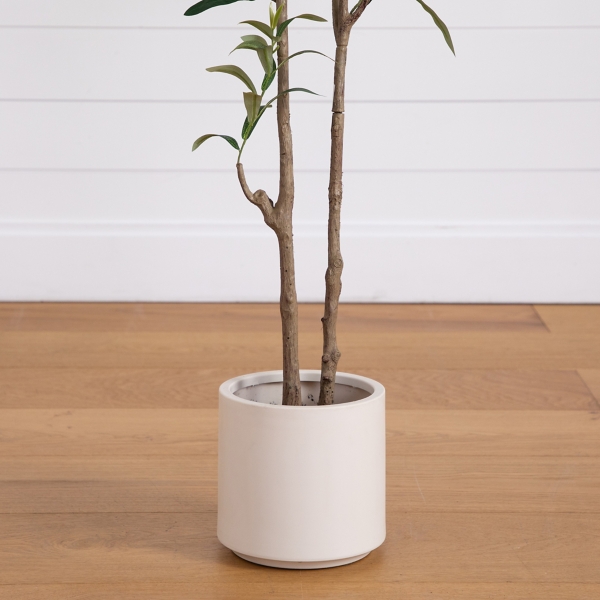 ft Minimalist Olive Tree in White Planter