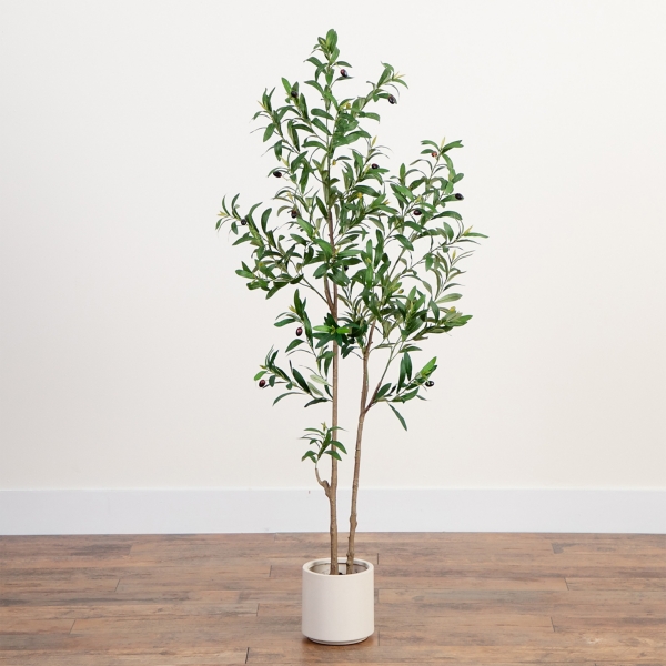 ft Minimalist Olive Tree in White Planter
