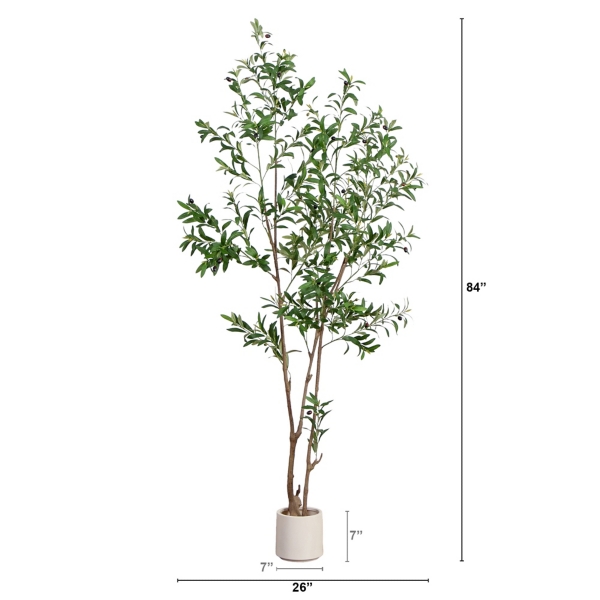 7 ft Minimalist Olive Tree in White Planter