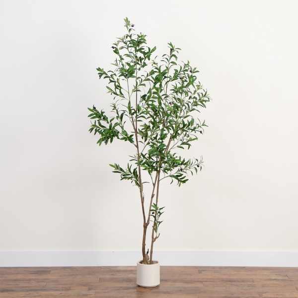 7 ft Minimalist Olive Tree in White Planter