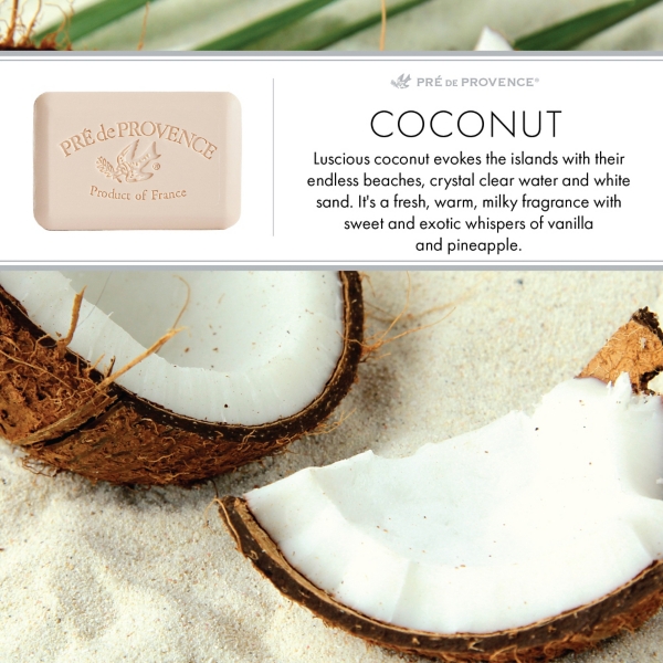 French Milled Coconut 2-pc. Bar Soap Set