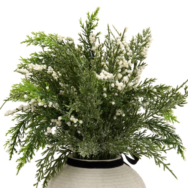 Snowy White Berry Arrangement with Black Bow