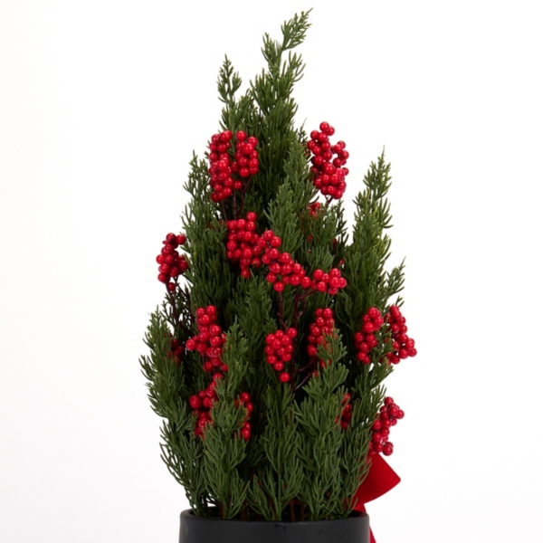 Red Berry Arrangement in Black Pot with Velvet Bow