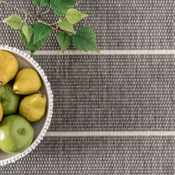 Alaina Striped Indoor/Outdoor Area Rug, 4x6