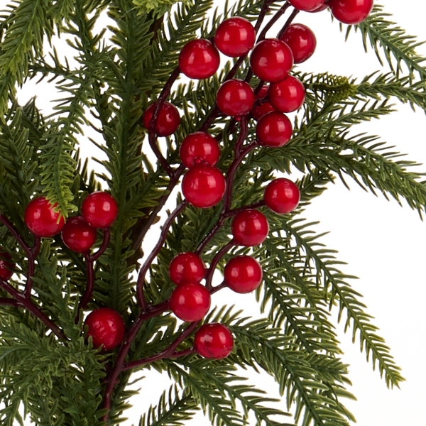 Norfolk Red Berry Stem