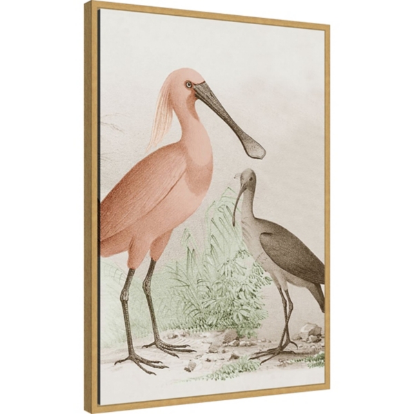 Antique Waterbirds II Framed Canvas Print