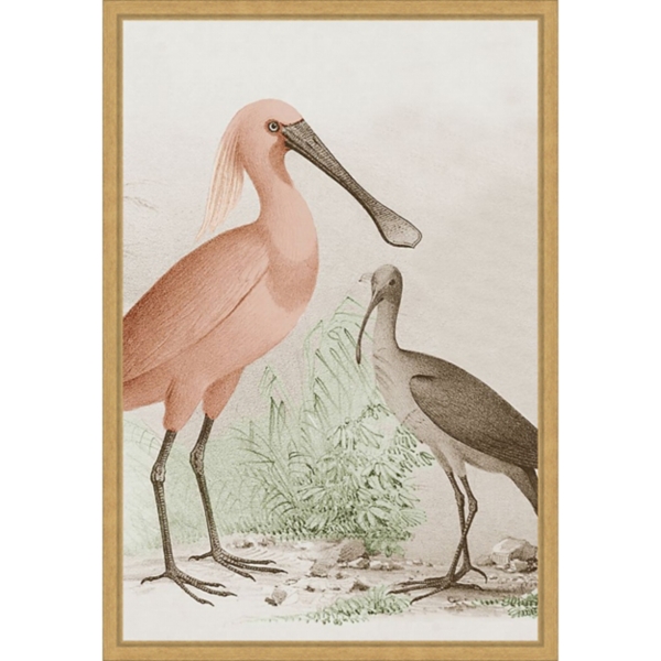 Antique Waterbirds II Framed Canvas Print, 16x23