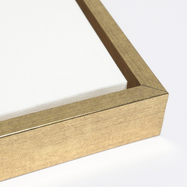 Antique Waterbirds II Framed Canvas Print, 16x23