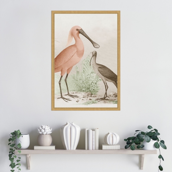Antique Waterbirds II Framed Canvas Print, 16x23