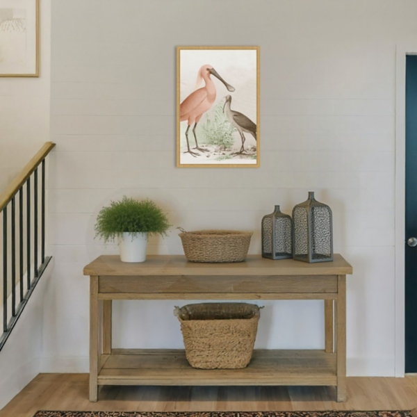 Antique Waterbirds II Framed Canvas Print, 16x23