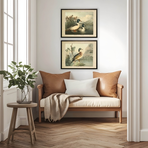 Goosander & Golden Eye Framed Art Print