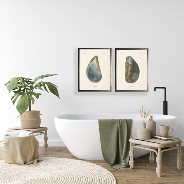 Oyster Shell I Framed Art Print