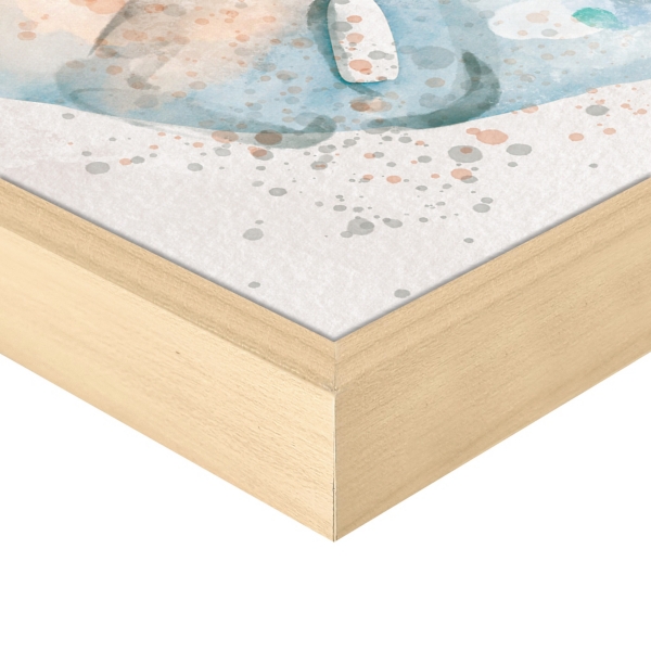 Shell Panel II Framed Canvas Art Print