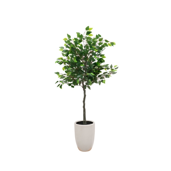 Tree in White Ceramic Pot, Green/Brown, Medium | Kirkland's Home