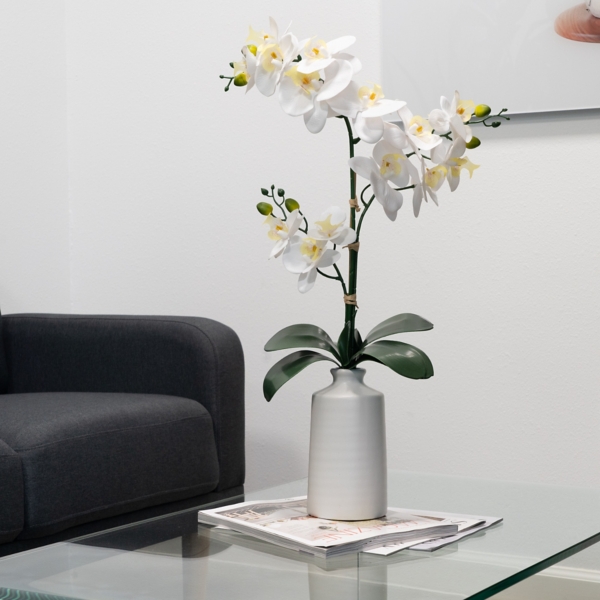 Natural Touch Orchid Arrangement