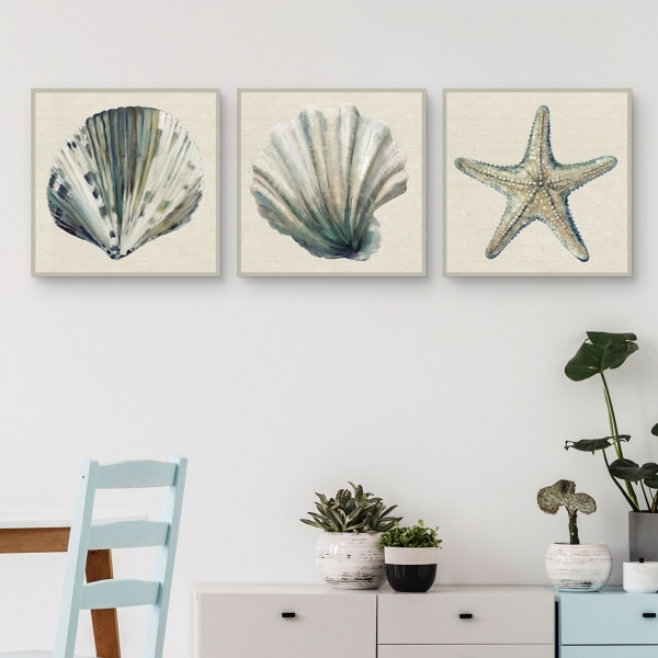 Sea Treasures Framed Canvas Art Prints, Set of 3