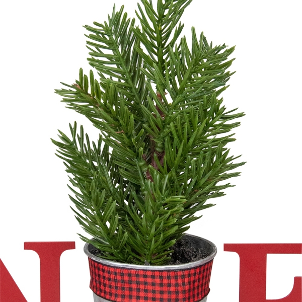 Noel Planter with Mini Faux Pine Tree